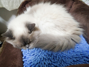 ��Ȥ����4