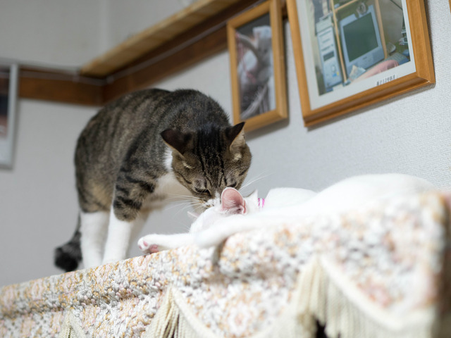 ����������2