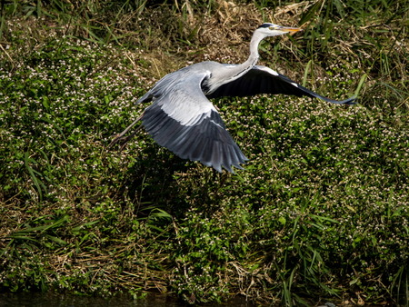 ����������4