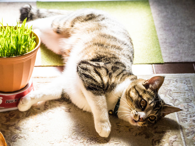 ���ͤ���14