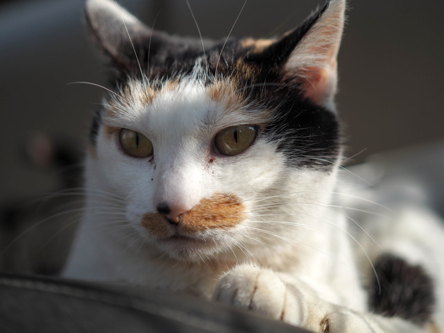 �ߡ������3