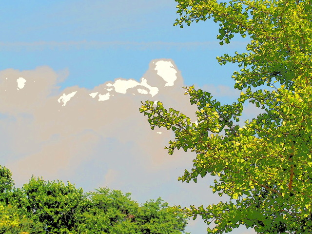 金目親水公園03