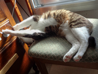 ���ͤ���3