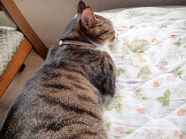 ���ͤ���2