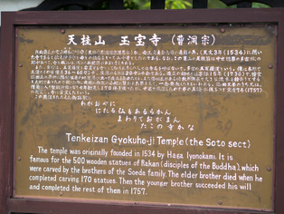 ��ɴ�����8