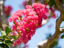 ���َ��͎ގ�