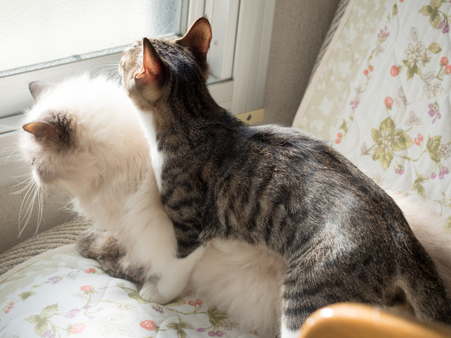 ���ͤ�Τ��