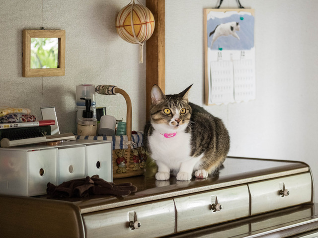 ���ͤ�����5