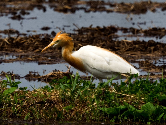 ���ޤ���4