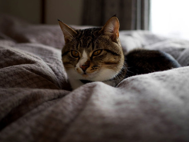 ���ͤ���04