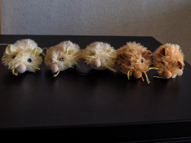 ���ͤ���04