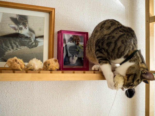 ���ͤ���13