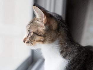 ���ͤ���7