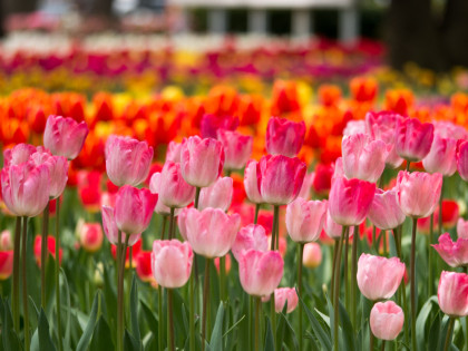 ���͸���10