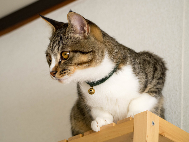 ���ͤ���9