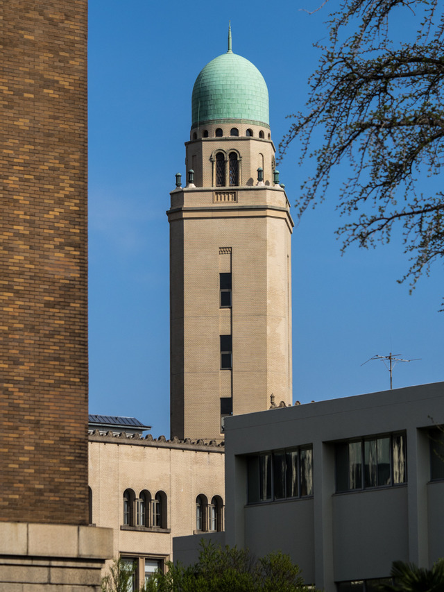 �����Ǵإ����������