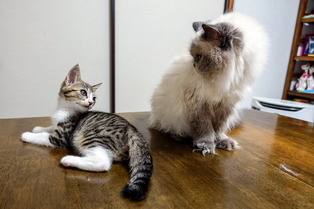 ���ͤ�Τ��02