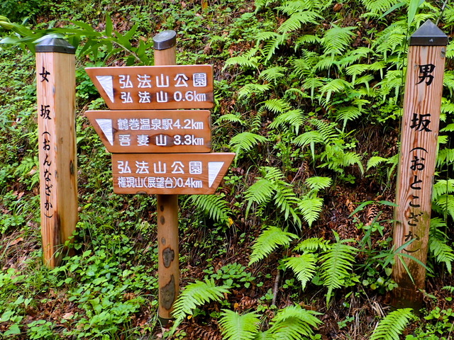 ヤマユリに逢いたくて