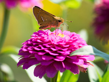 �����ӎݎ��ގ����؎؎���