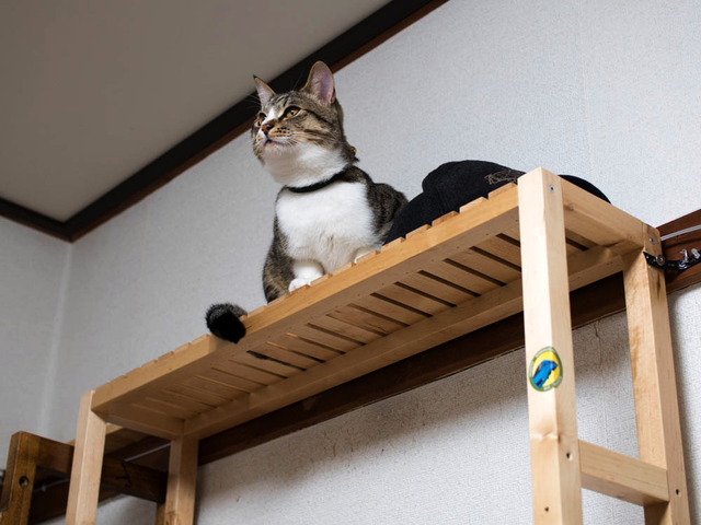 ���ͤ���01