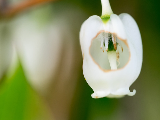 �Ďގ����ގݎ���4