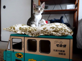 ���ͤ���69