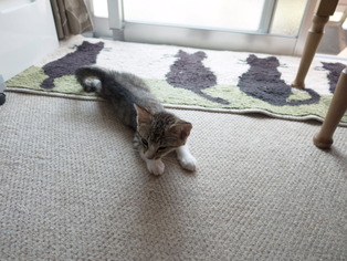 ���ͤ���24