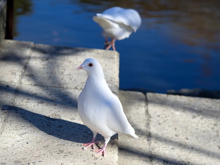 �ʎ���1