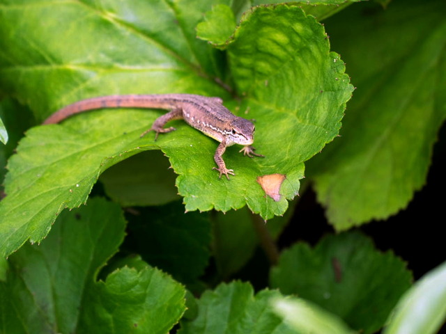 �Ď�����01