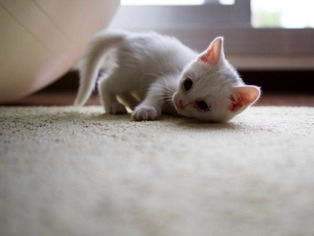 �ЎФ����04