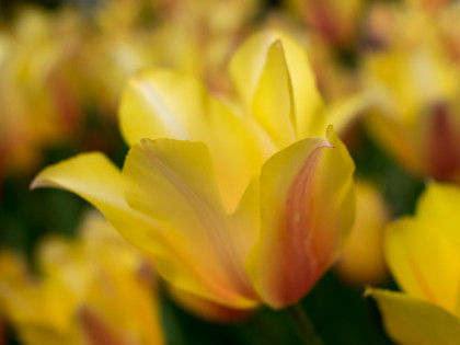 ���͸���15