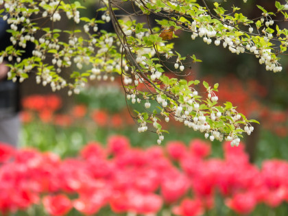 ���͸���19