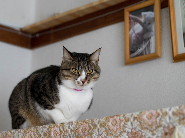 ���ͤ���1