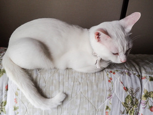 ���������3