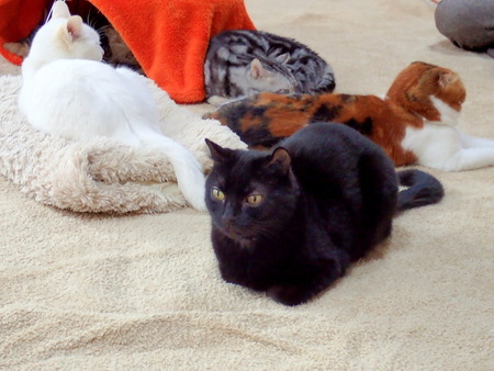 ǭ���ե��줪��20