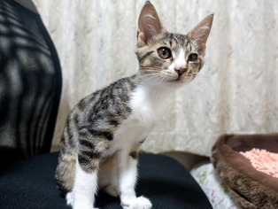 ���ͤ���87