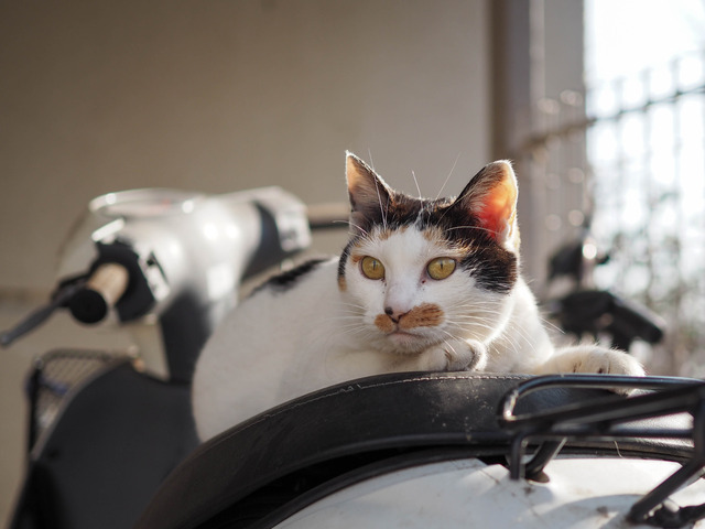 �ߡ������1