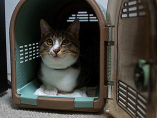 ���ͤ���02