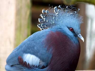 �������ގʎގ�