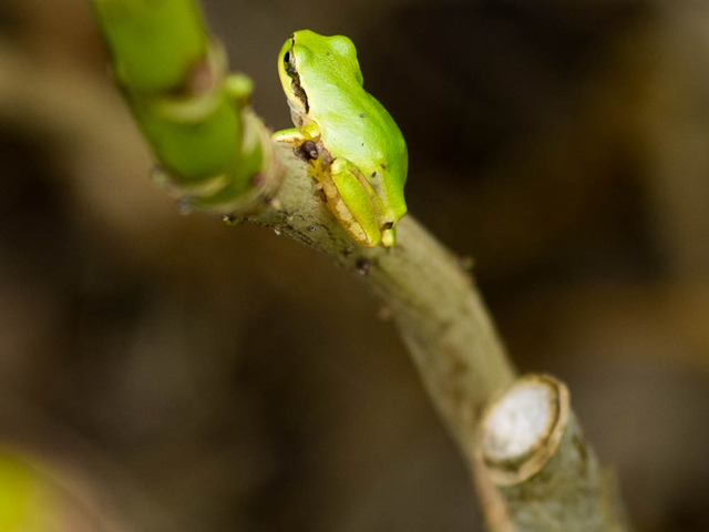 ���ώ��ގ���02