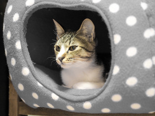 ���ͤ���6