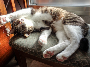 ���ͤ���1