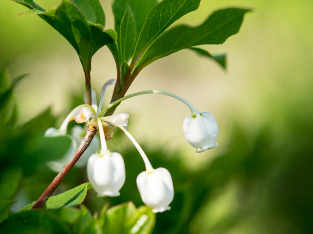 �Ďގ����ގݎ���3