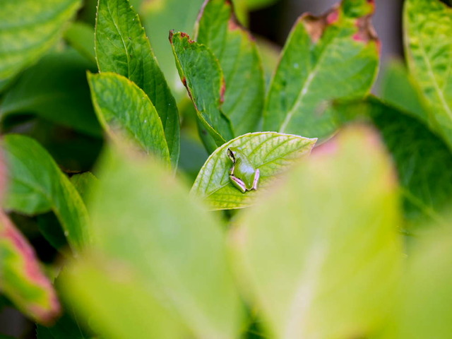 ���ώ��ގ���11