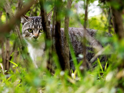 ������24