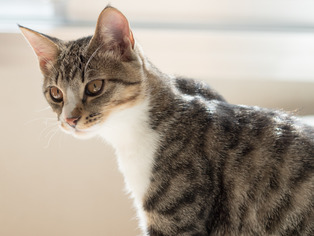 ���ͤ���9