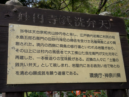 ̯Ԥ��5
