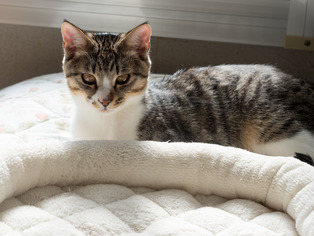 ���ͤ���8