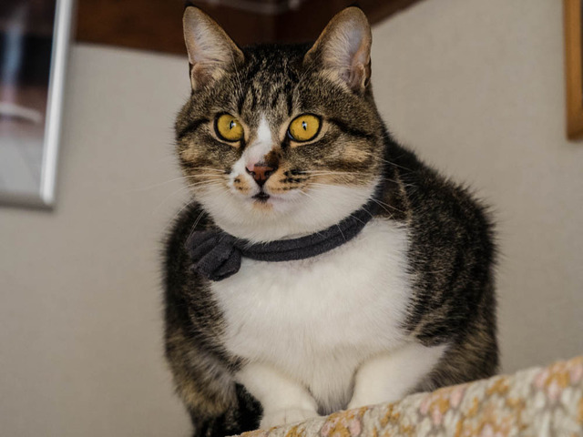 ���ͤ���1