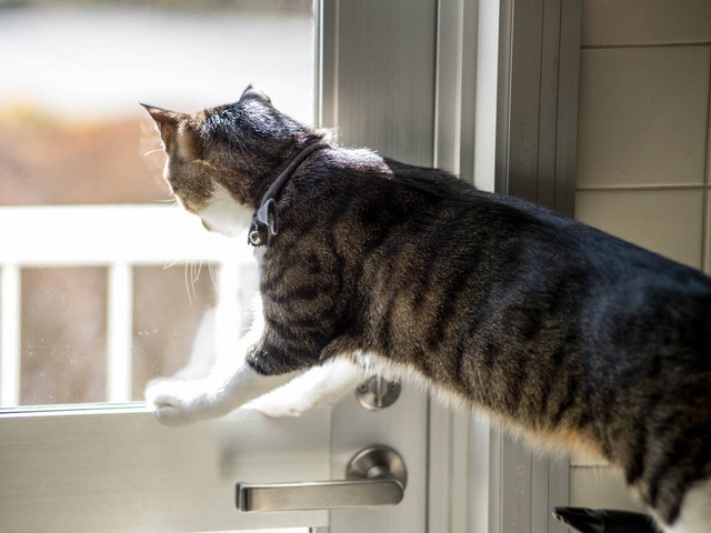 ���ͤ���7